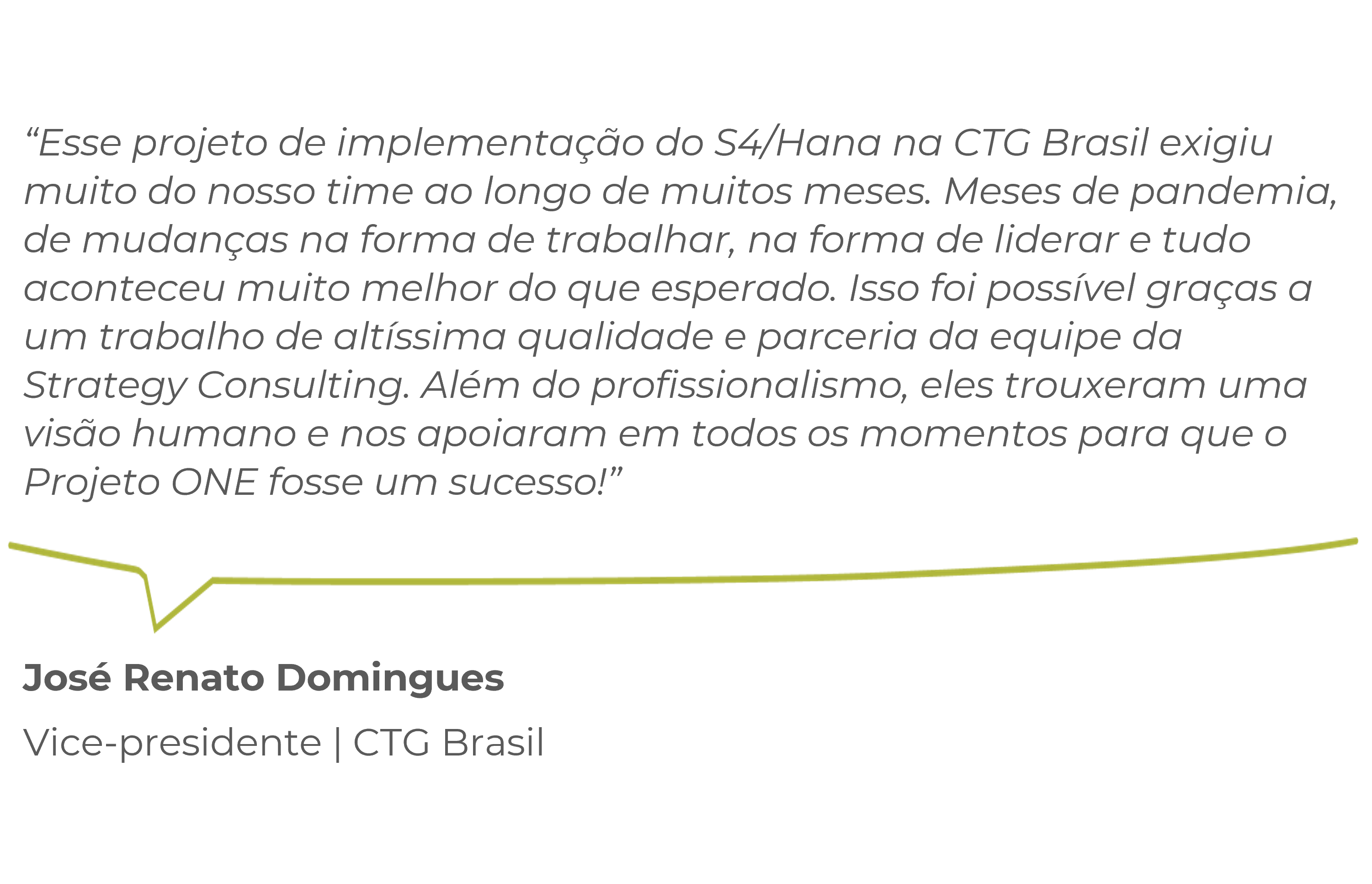 José Renato Domingues  Vice-presidente | CTG Brasil